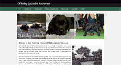 Desktop Screenshot of olbaileylabs.com